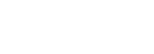 PebbleTec PebbleFIna Logo